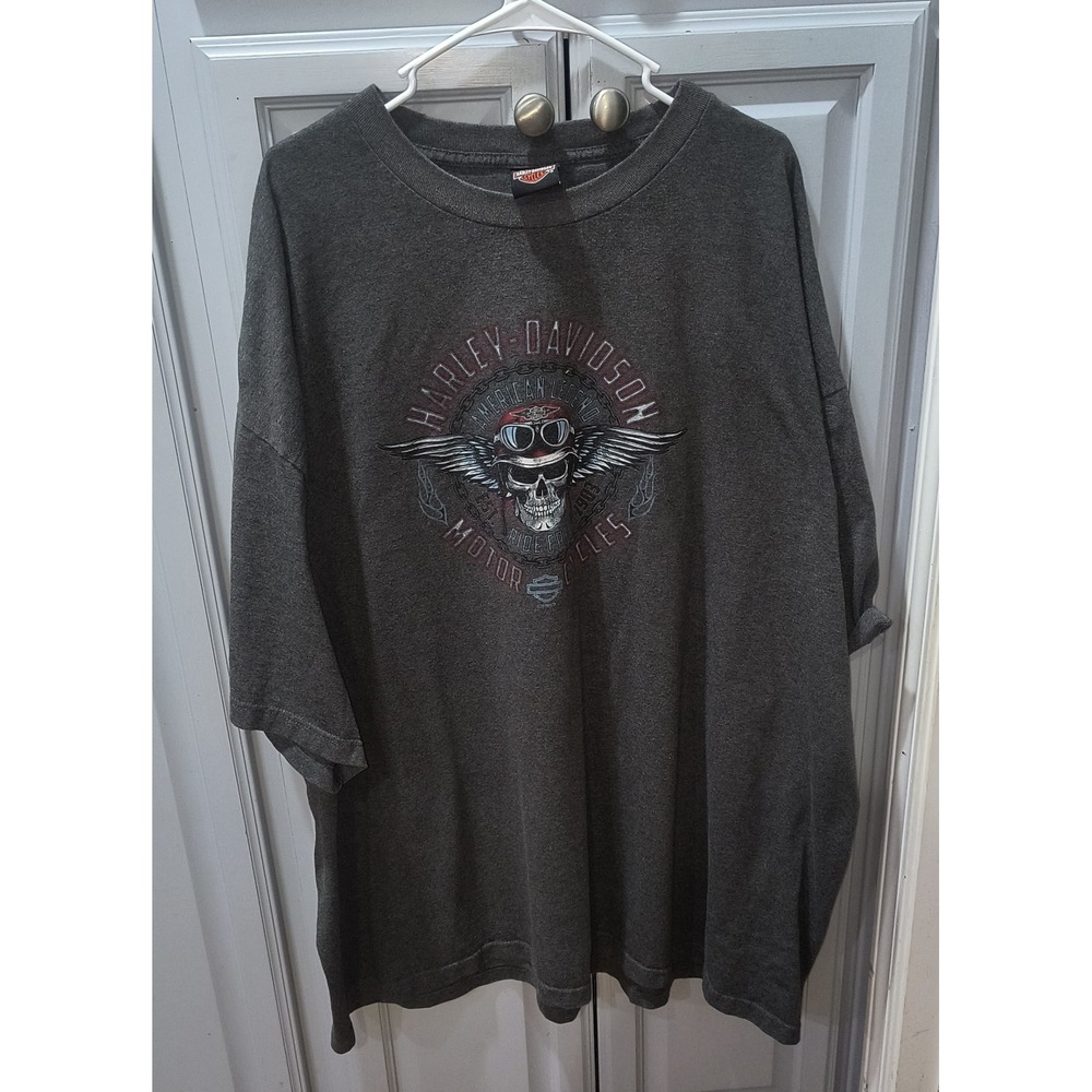 Harley-Davidson Tombstone Arizona Skull Graphic T-Shirt Gray Mens 5XL
